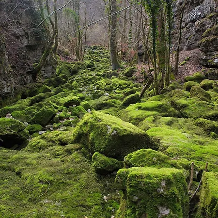 Kovac 호텔 Osilnica