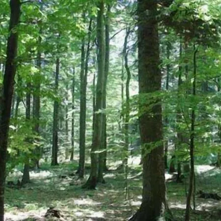 Kovac Ξενοδοχείο