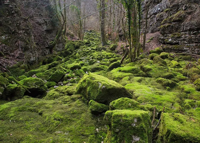 Kovac فندق Osilnica